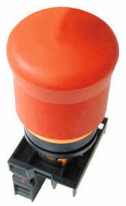 Dettagli