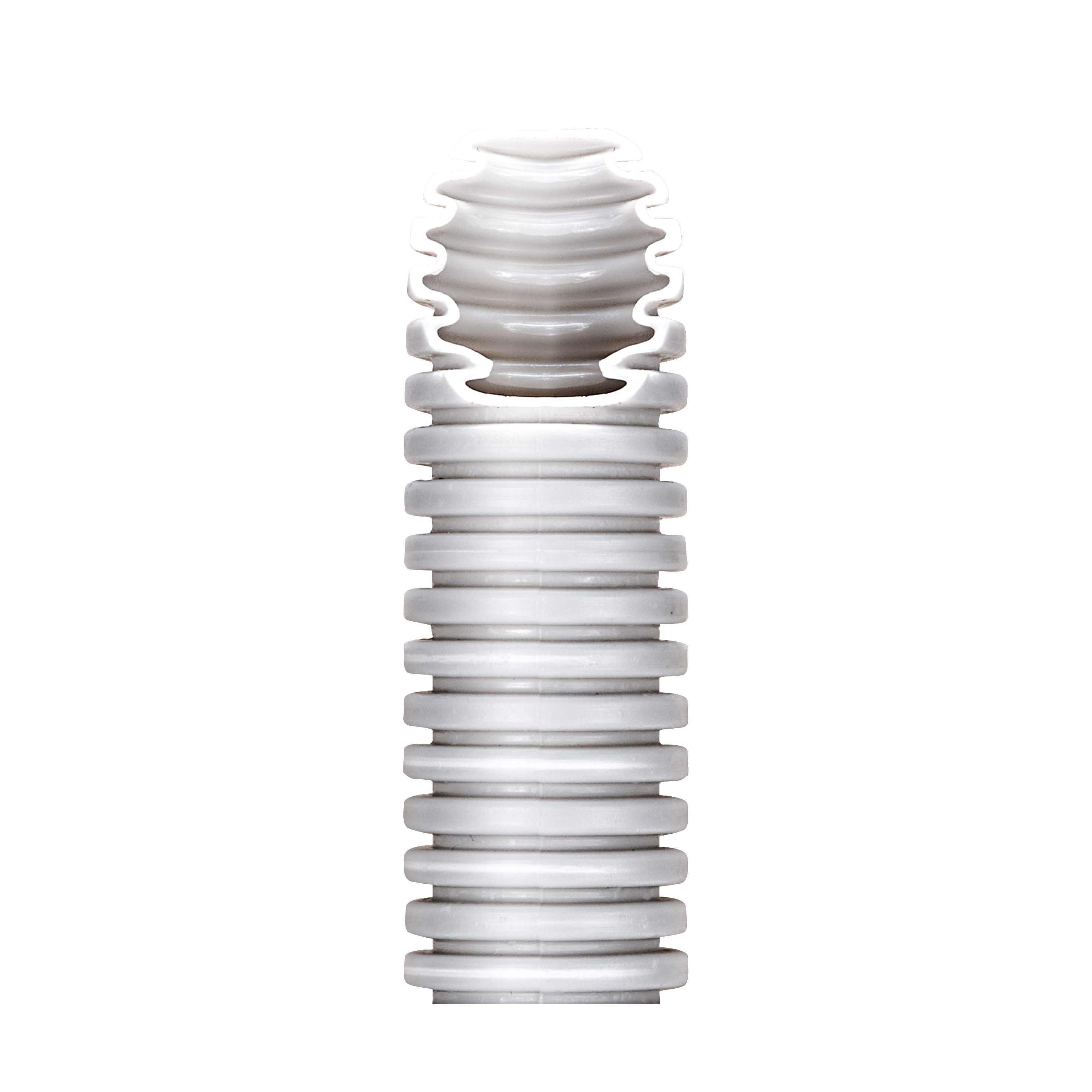 Dettagli