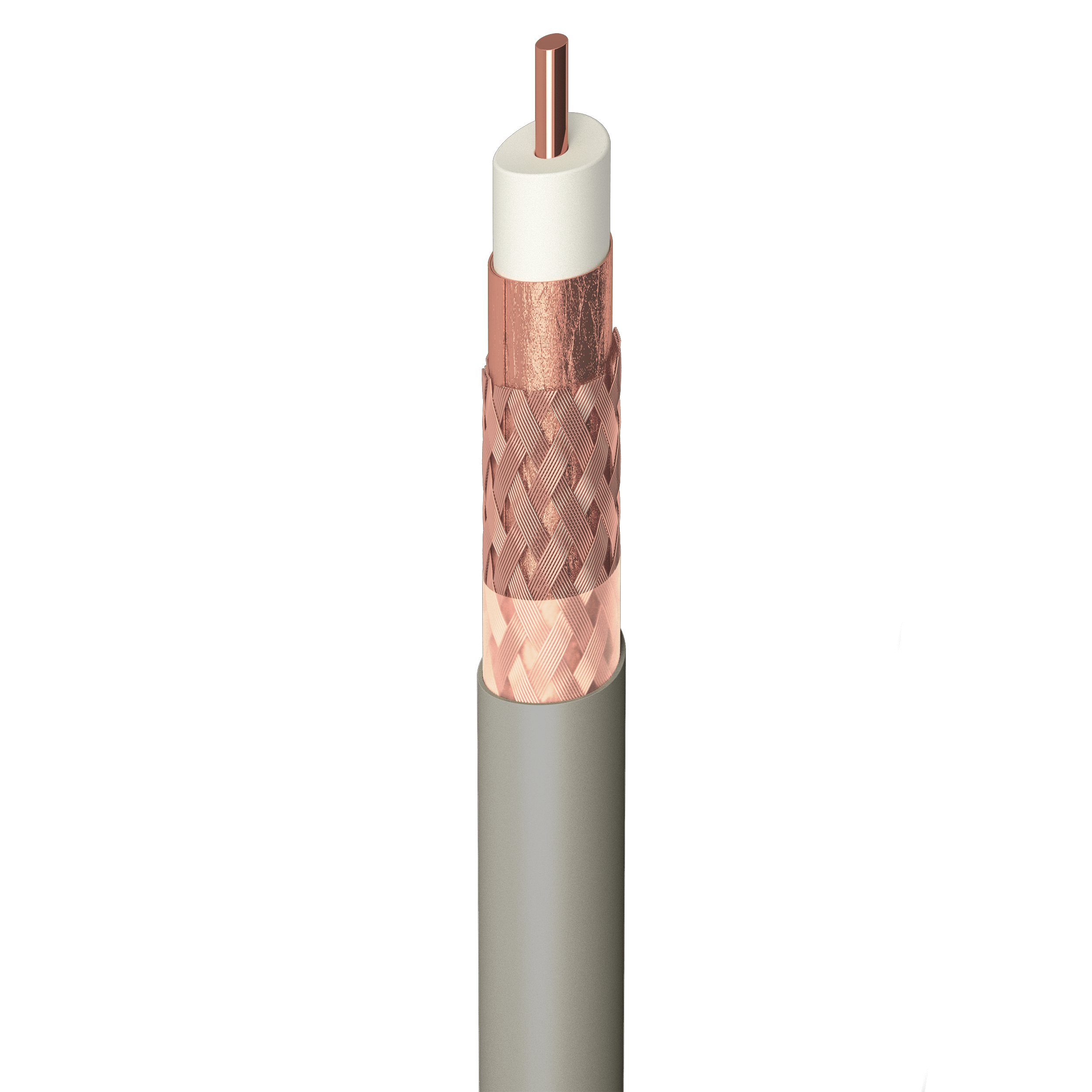 Dettagli